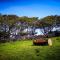 The Lazy Llama Shepherd Hut Campview Farm Stay