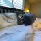 Cozy loft in Upper Gibsons - Gibsons