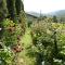 B&B The Roses Garden - Millesimo