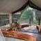 Paperbark Camp