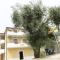 Il Casale Soffio di Terra B&B