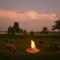 Fireflies Kabini