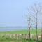 Fireflies Kabini