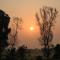 Fireflies Kabini