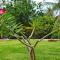 Hotel & Pousada Tatajuba