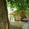 Fireflies Kabini