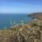 The Cottage at Noyadd Trefawr - Grade II* - Cardigan