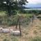 Apartment right next to the golf course and with the ocean just around the corner - Ljungskile