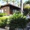Pine Tree Cabin