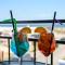 SaloS Beach Resort