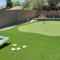 Scottsdale's Charmer