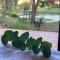 Don Aniceto Lodges & Glamping