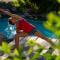 Hotel Boutique Refugio El Molle
