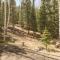 Secluded Mountain Getaway - Creede