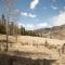 Secluded Mountain Getaway - Creede