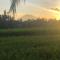 Our Bali Homestay