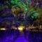 Bak A Yaad - Negril