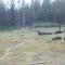 The Branded Calf Bed & Breakfast