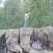 The Branded Calf Bed & Breakfast