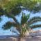 Dolphin view with a pool by the beach - Mandre