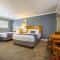 SOMA Park Inn
