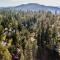 High Sierra Cabin with Grill, Serene Location! - Twain Harte