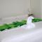 Green House Habitaciones