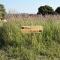 Hornbeam Luxury Eco Pod at Trewithen Farm Glamping - Launceston