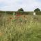 Hornbeam Luxury Eco Pod at Trewithen Farm Glamping - Launceston