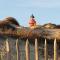 Logement en bois 4 pers proche du zoo de La Palmyre les chambres ont vue sur le ciel - 莱马特