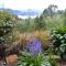 Treetops B&B