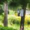 Rajski vrt - Lake house - Paradise garden