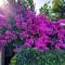 Holiday home Zora - family vacation house near protected area of the Nature Park Kamenjak, with green yard, WiFi, Air-con