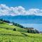 #Lavaux - 吕特里