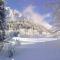 Luxury Panoramic 3BR Apt 2min to Centre 5min to Lifts - Cortina dʼAmpezzo