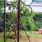 Moissac Charmant Appartement avec Jardin