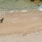 Louis Ledra Beach