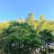 BAMBOO RESORT MIHAMA　繋