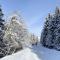 Chalet de 4 chambres avec jardin et wifi a La Lechere a 1 km des pistes - La Léchère