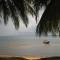 Daltons Banana Guesthouse