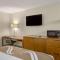 Rodeway Inn - غراند رابيدز
