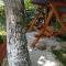 Casa ROOL