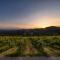 Weingut Reiterer - Kitzeck im Sausal