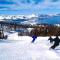 LUXE 4 Blue Diamond Lake Tahoe Lodge