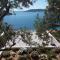 Holiday Rental House Holiday Rental House