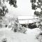 Odyssey Stays Mukteshwar - 300 Metres Trek
