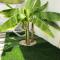 Diklo beach rooms-Adults Only