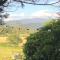 Dobbin the horse box in The Lake District