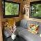 Tiny House Indy-Blue