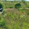 Peak District Cottage set in 5 acres near Buxton
